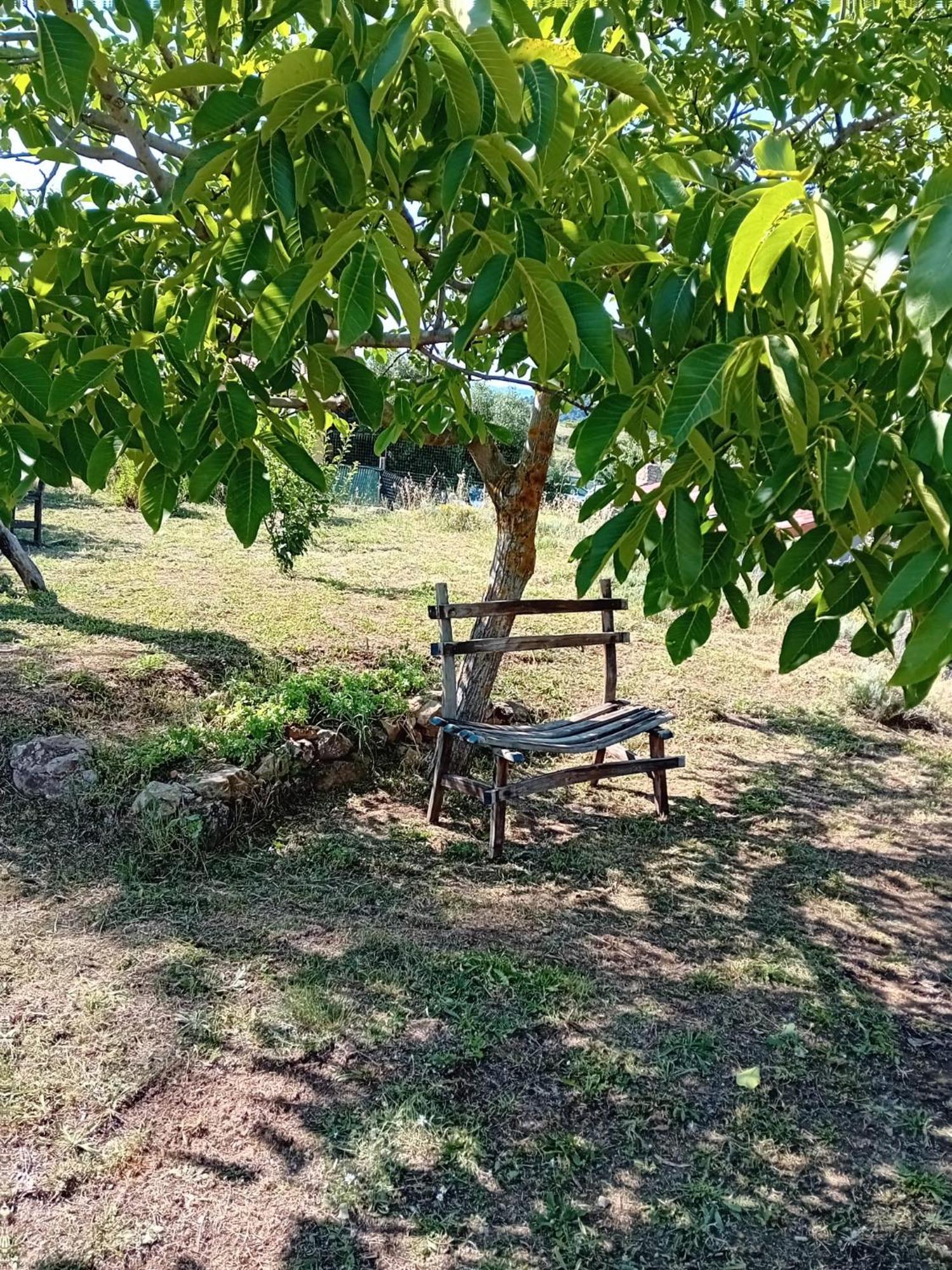 לינה וארוחת בוקר Seùlo Lugori מראה חיצוני תמונה