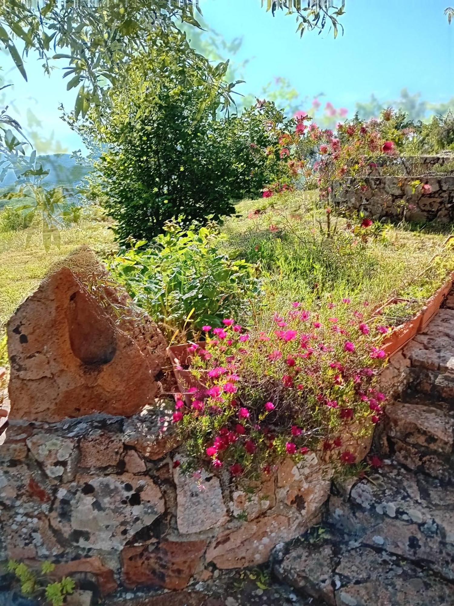 לינה וארוחת בוקר Seùlo Lugori מראה חיצוני תמונה